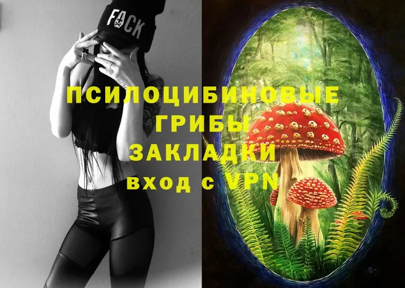 Псилоцибиновые грибы Psilocybine cubensis  Кадников 